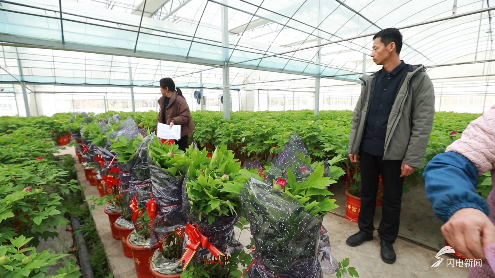 新春走基层|守候一场花开(图2)