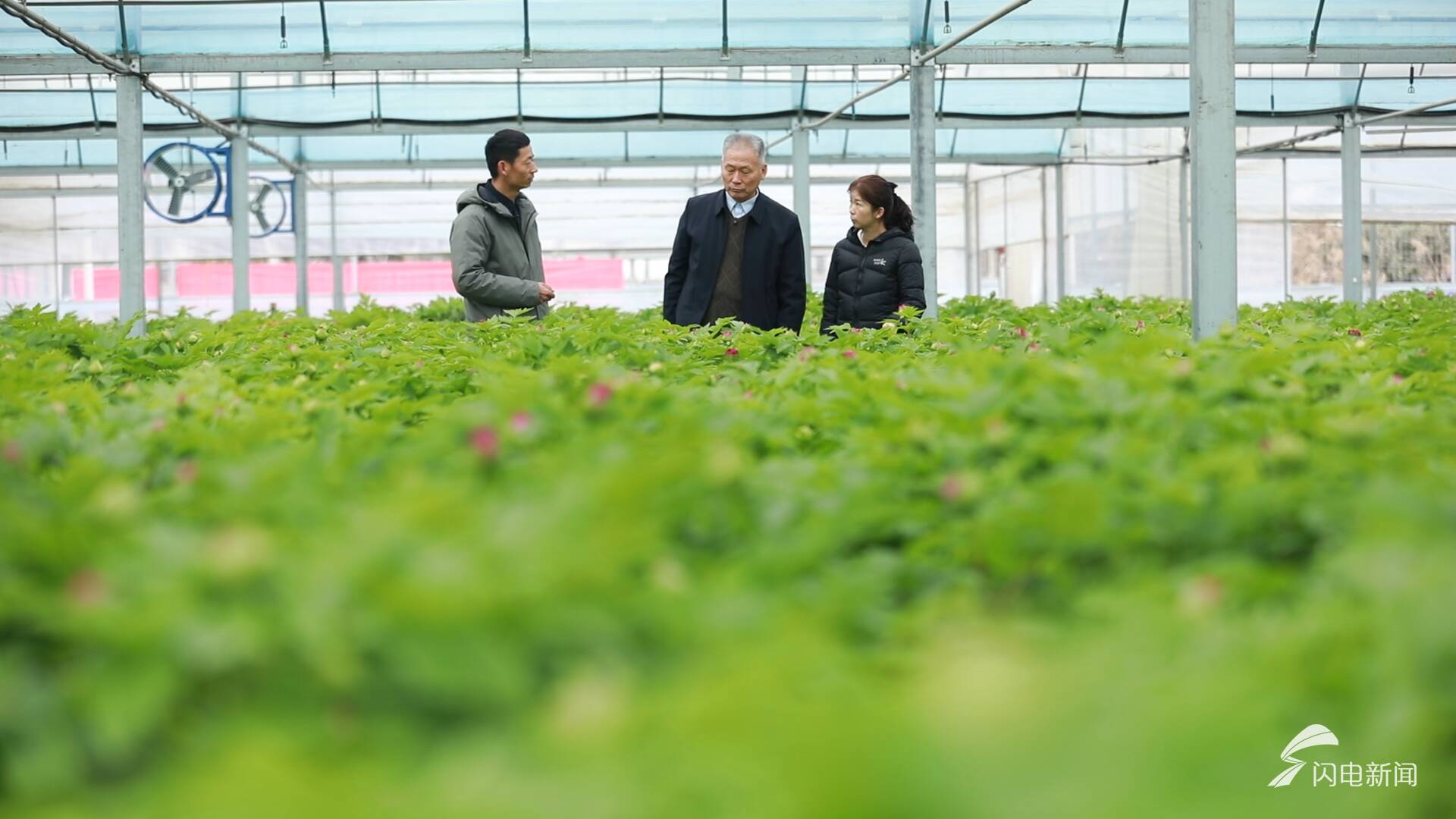 新春走基层|守候一场花开(图9)