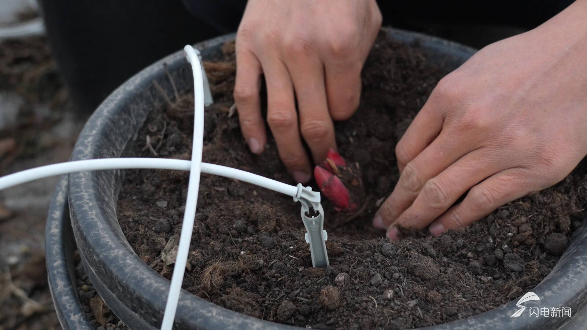 新春走基层|守候一场花开(图7)