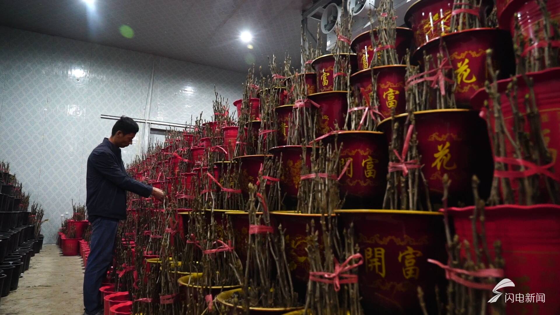 新春走基层|守候一场花开(图4)