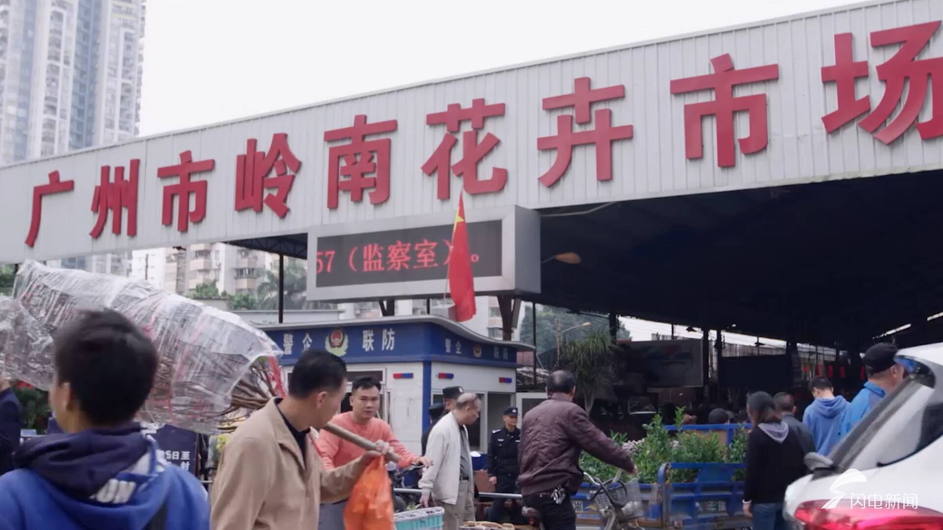 新春走基层|守候一场花开(图5)