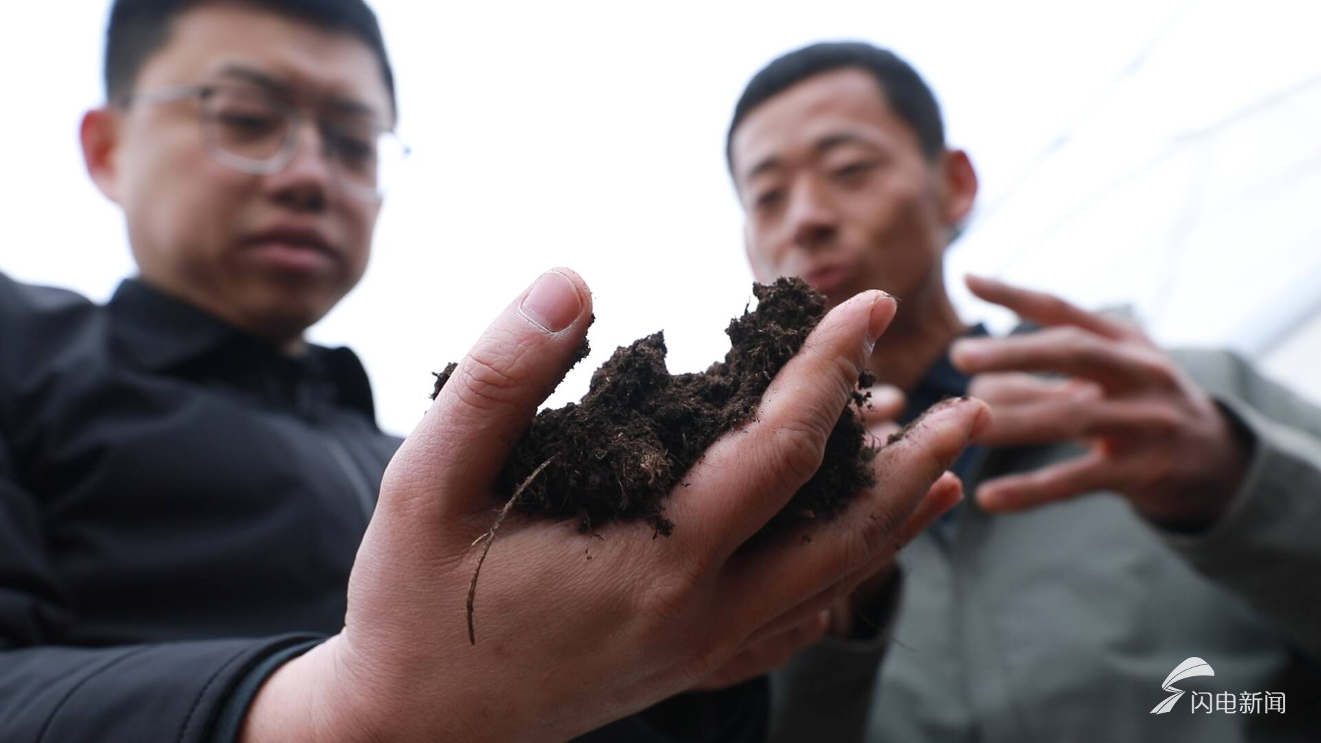 新春走基层|守候一场花开(图8)
