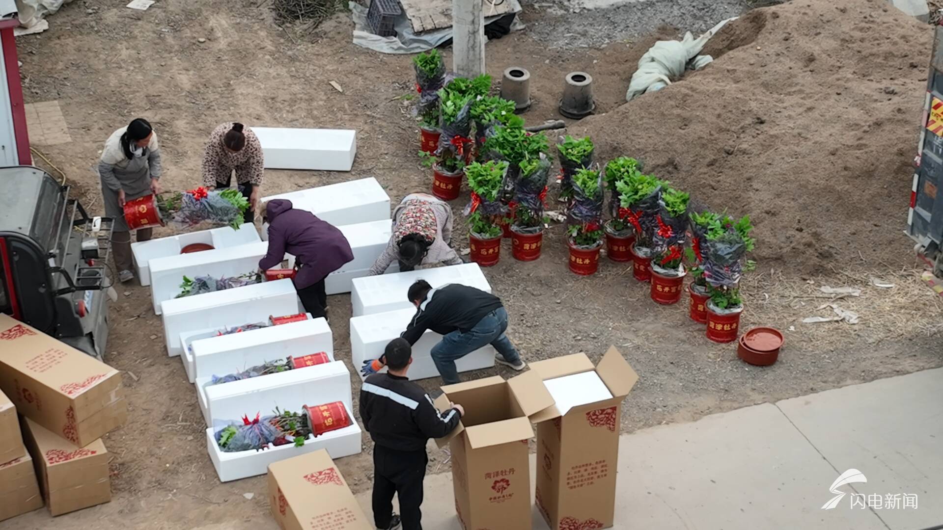 新春走基层|守候一场花开(图1)