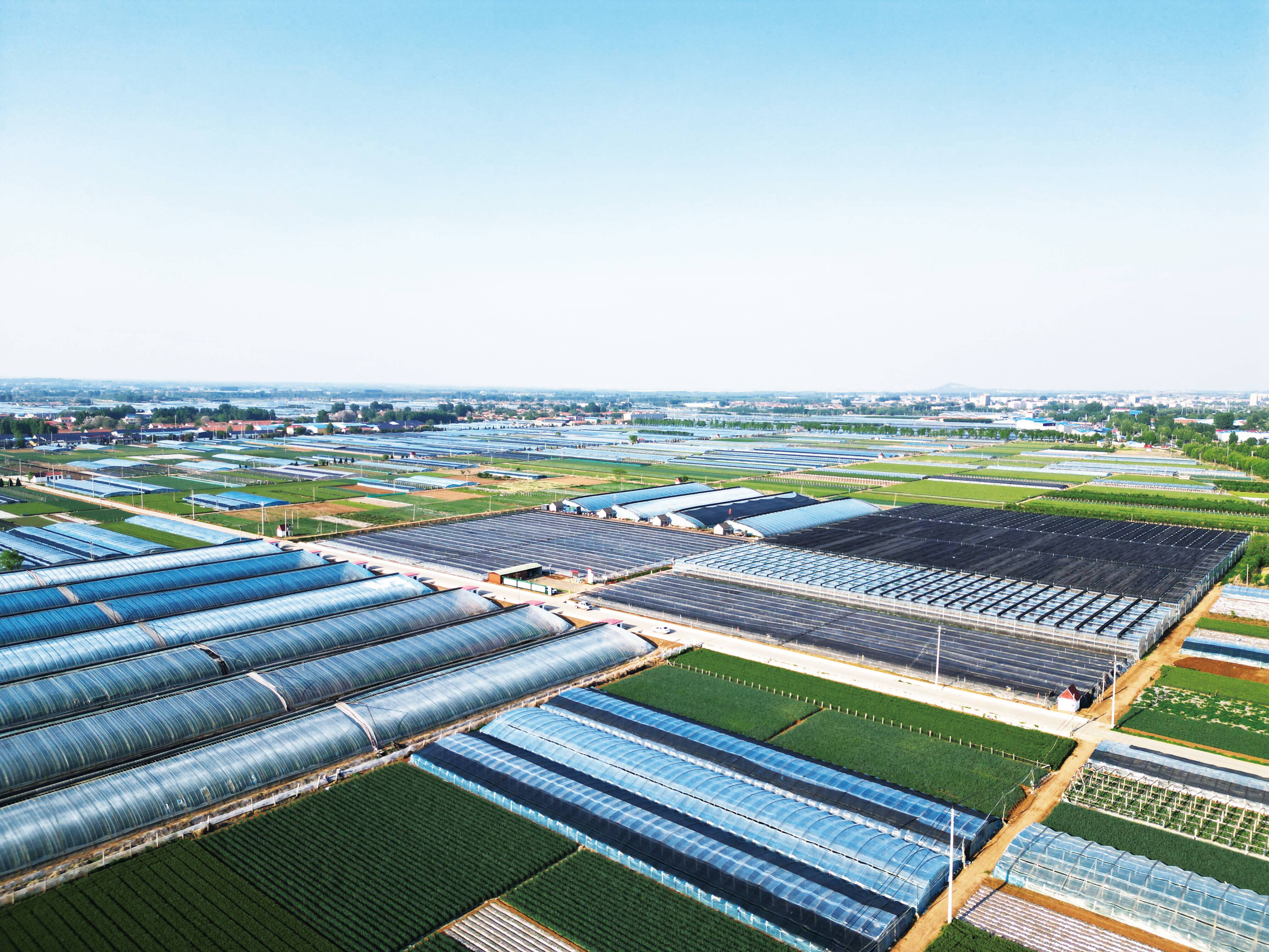 绘就沃野“丰”景潍坊安丘农业用电量强劲增长的背后(图1)