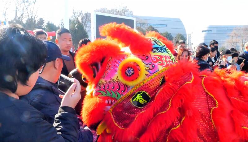 国内首批商业化授粉熊蜂出口阿联酋