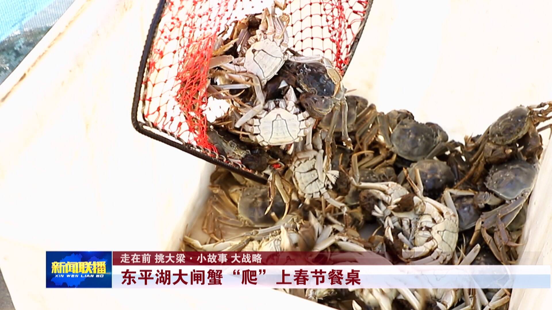 【走在前 挑大梁·小故事 大战略】东平湖大闸蟹“爬”上春节餐桌