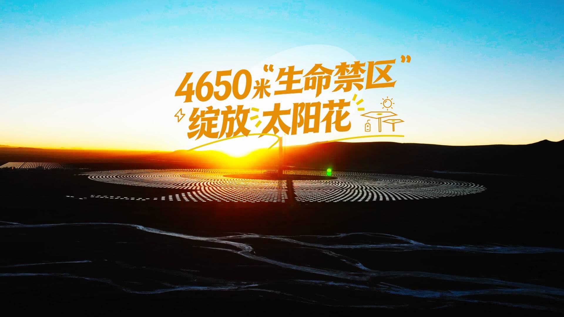 【新春走基层】“搭积木”闯三大难关 4650米“生命禁区”绽放“太阳花”