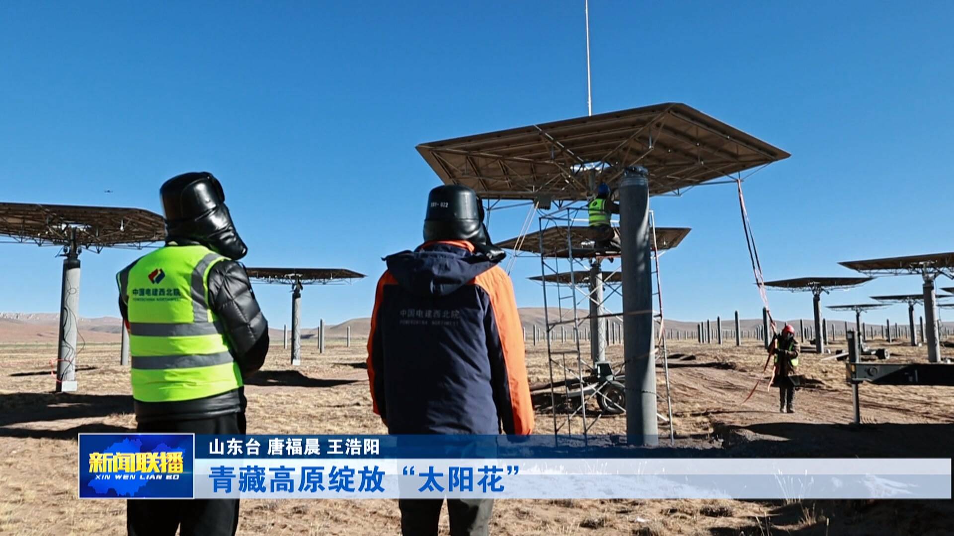 【新春走基层】青藏高原绽放“太阳花”