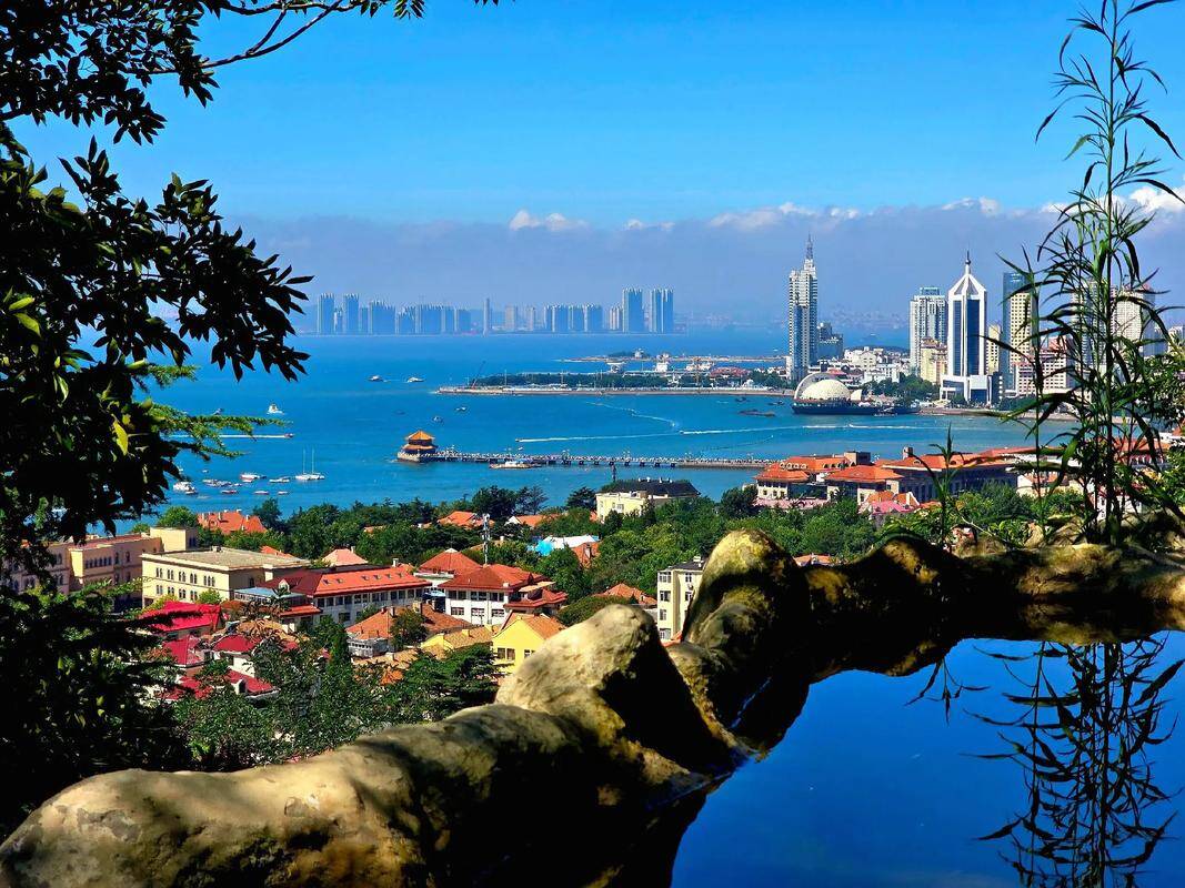 青岛市民营经济局启动部署树立和践行正确政绩观学习教育