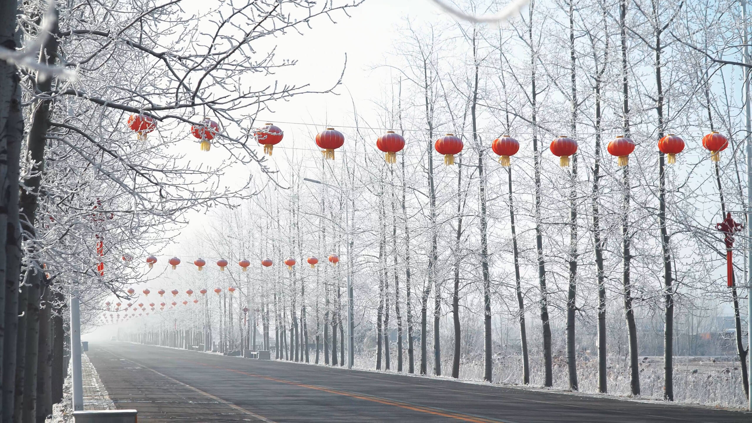 东营市出现雨雪天气 降雪持续请注意道路结冰