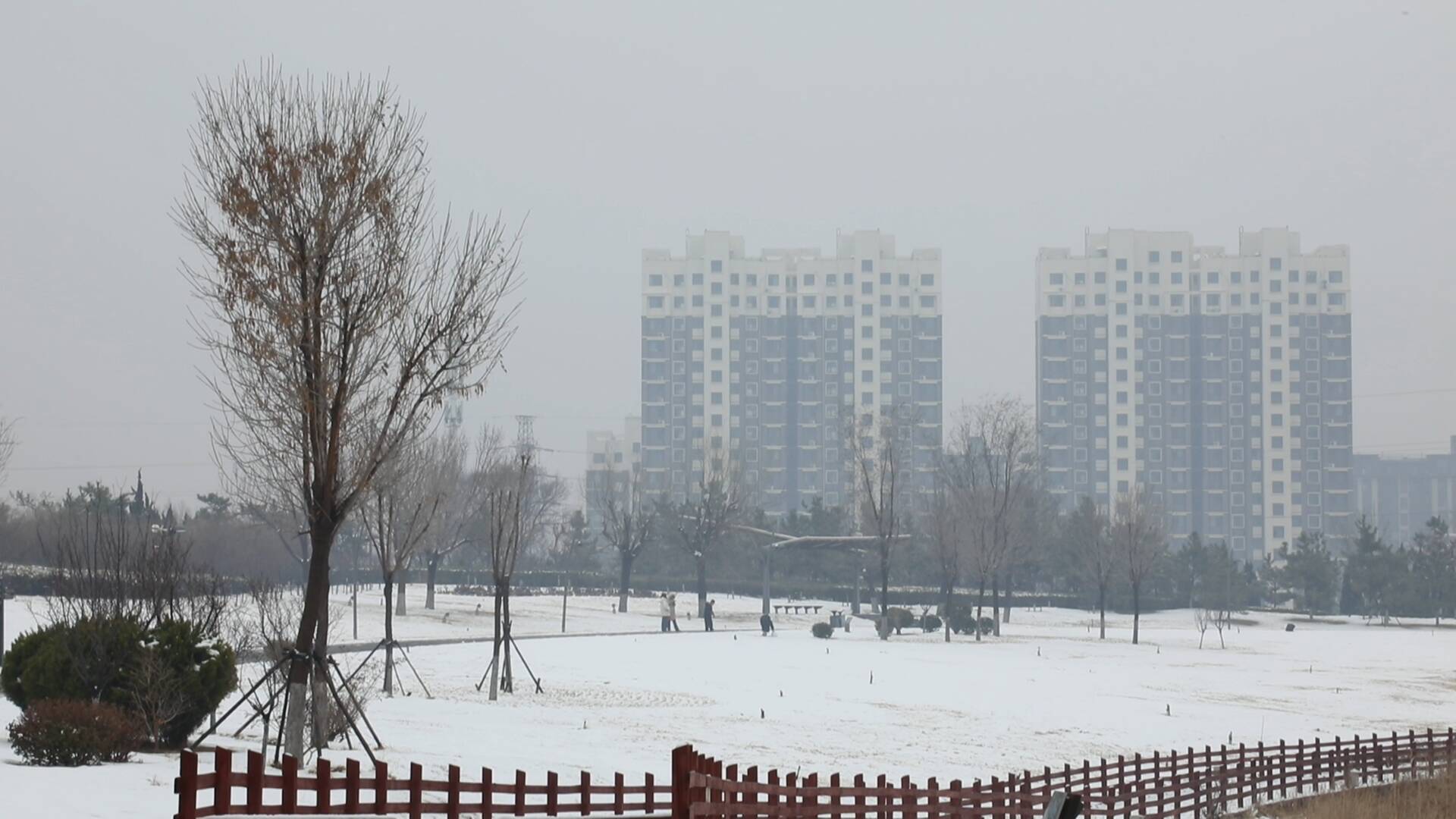 东营市河口区：瑞雪纷飞闹元宵 清雪除冰保畅通