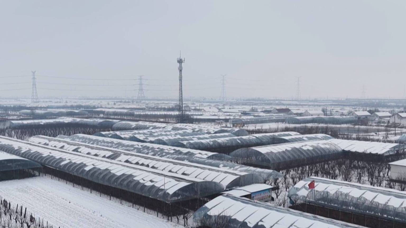 山东多地出现中到大雪 科学应对保畅通护生产