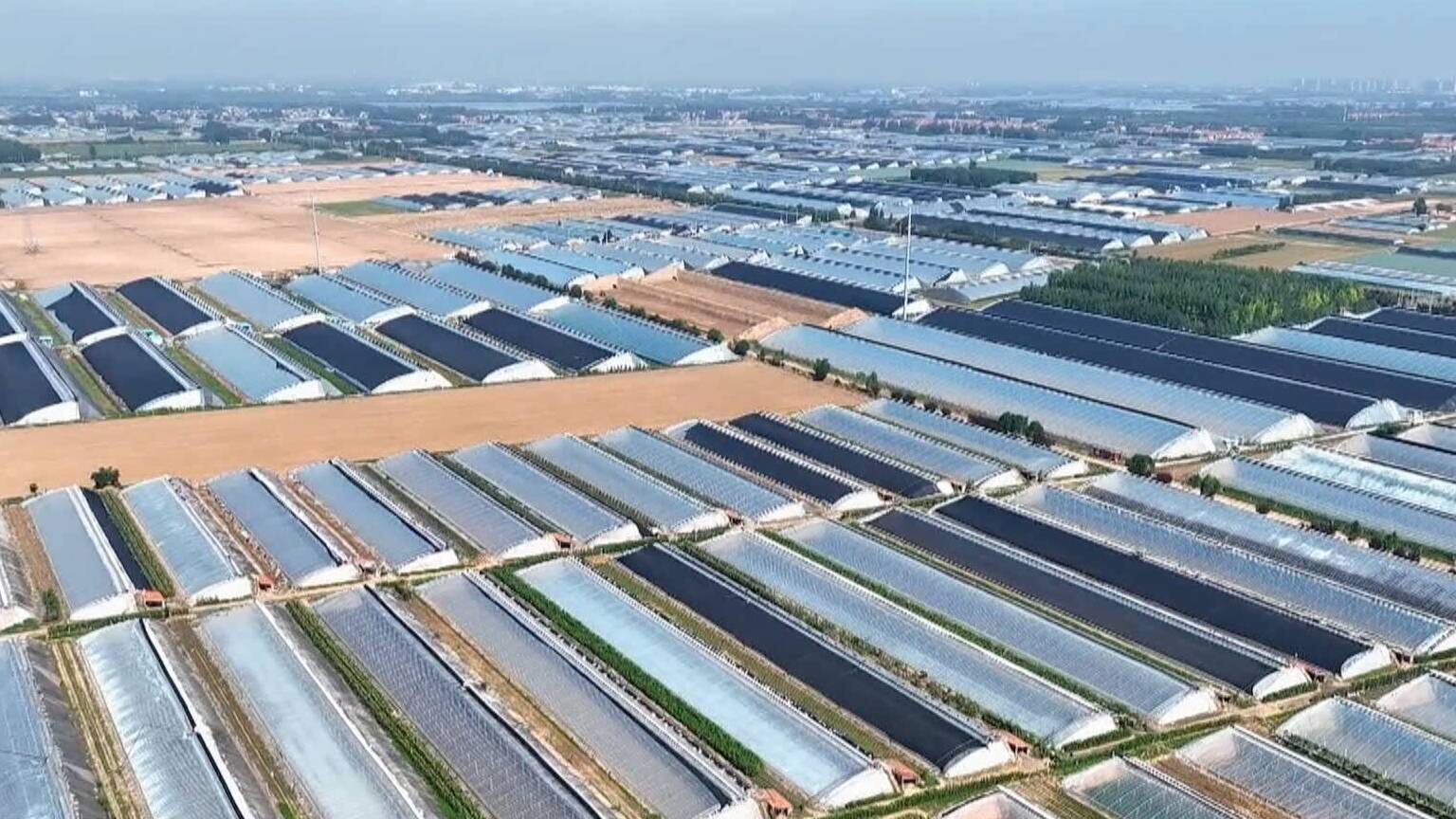 【走在前 挑大梁·奋进“十五五”山东信心满满】扎实推进乡村全面振兴