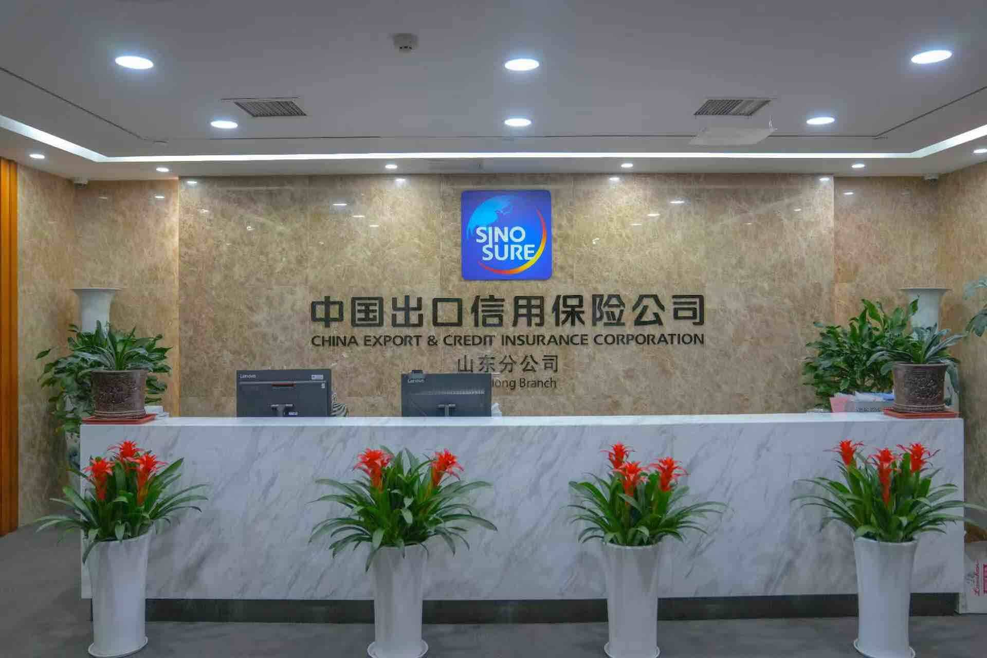 中国信保护航小微外贸企业“开门红”