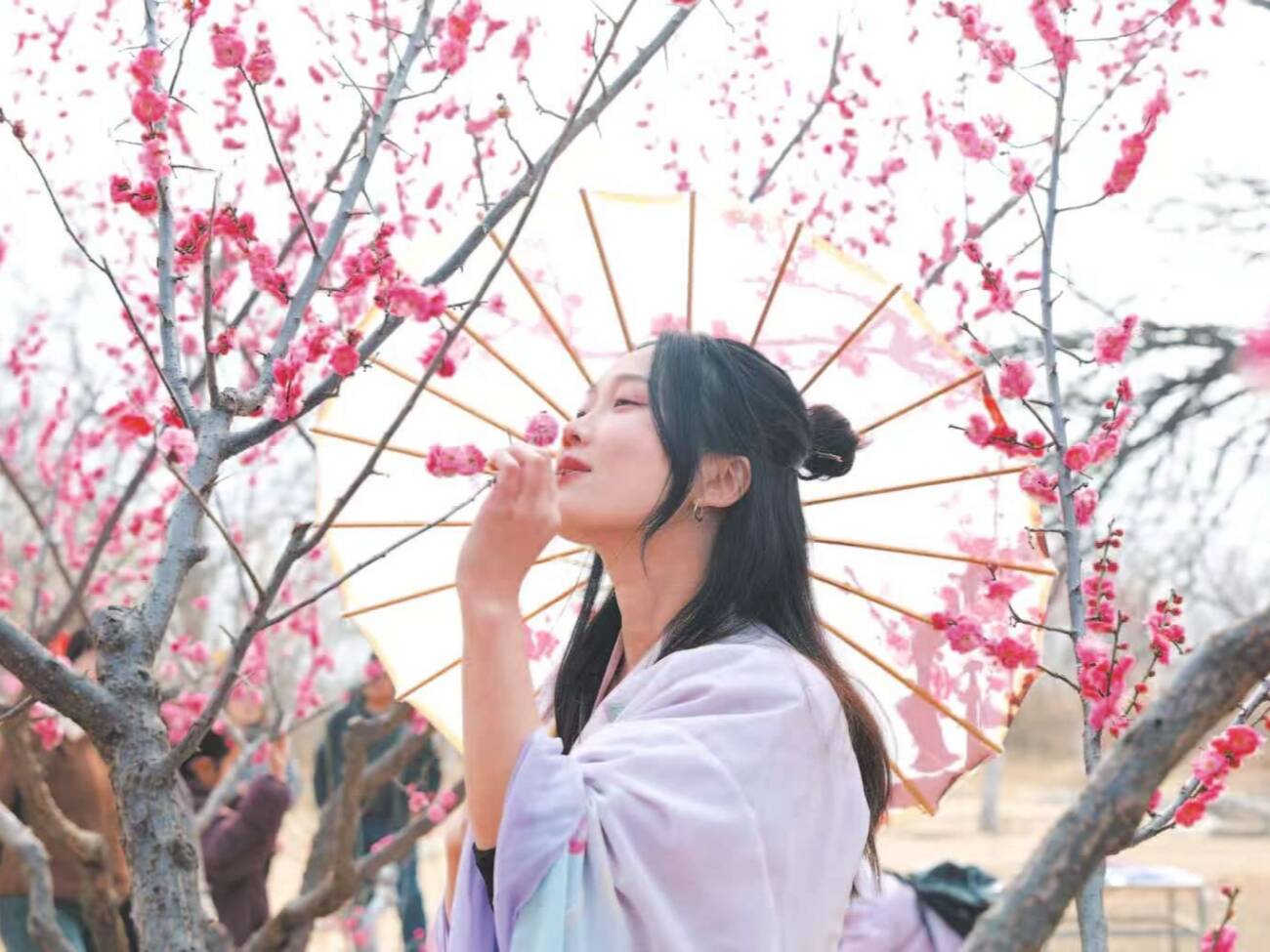 邹平：暗香浮动醉春光 梅花迎客踏春来