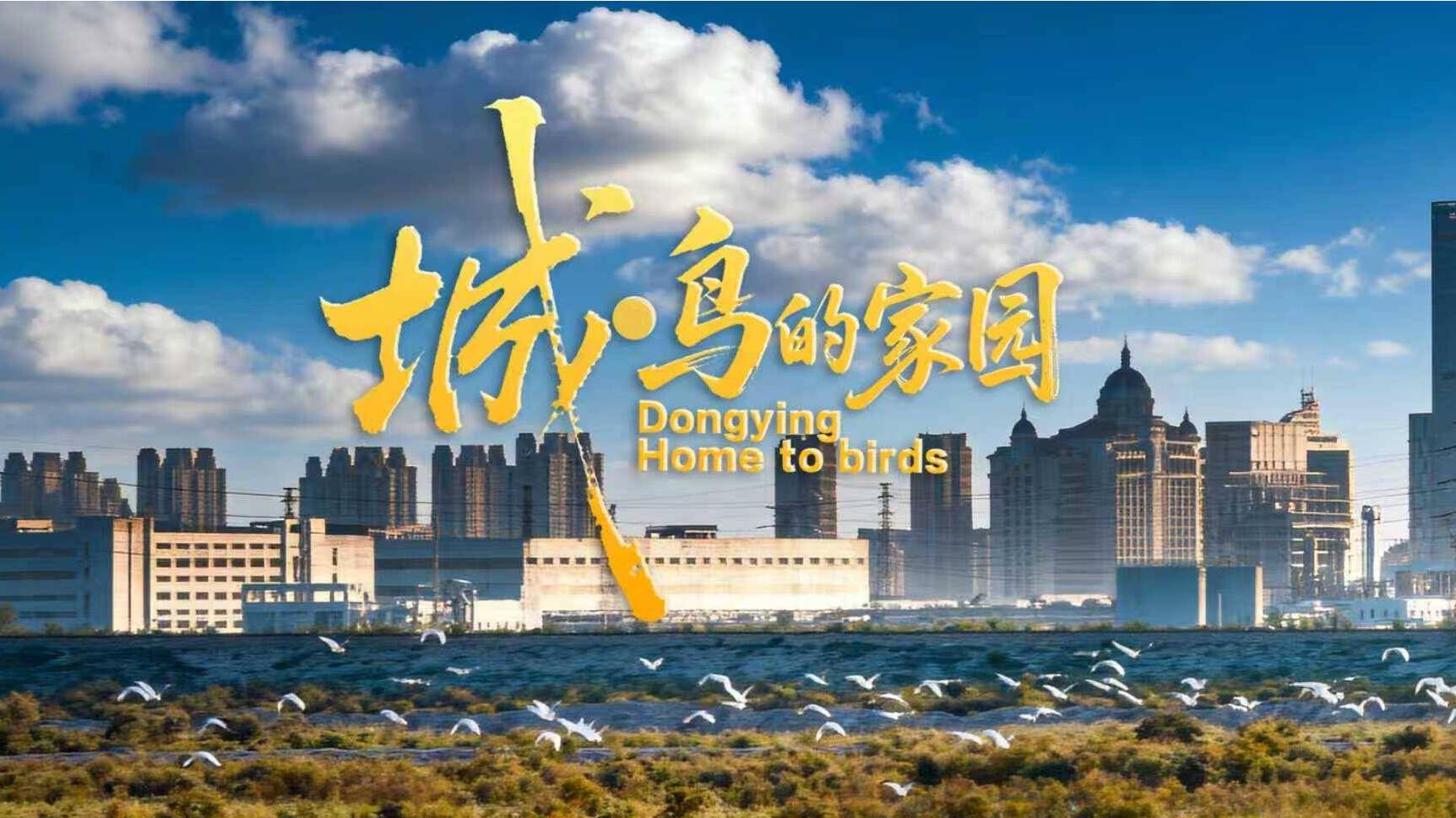 纪录片《城•鸟的家园》3月4日将在山东卫视4K超高清频道首播