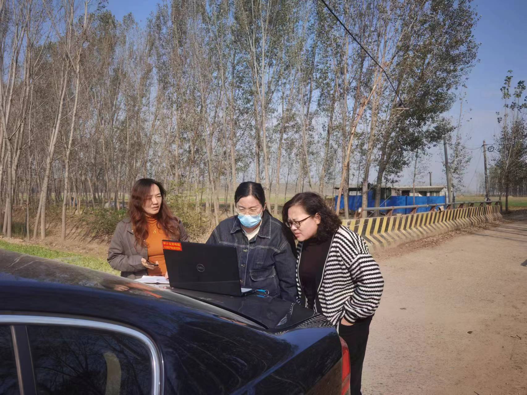 阳谷：坚守林长之责  绘就生态建设新图景