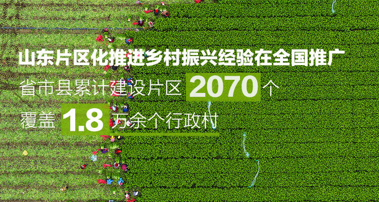 蘸一笔春色，看见向上的山东