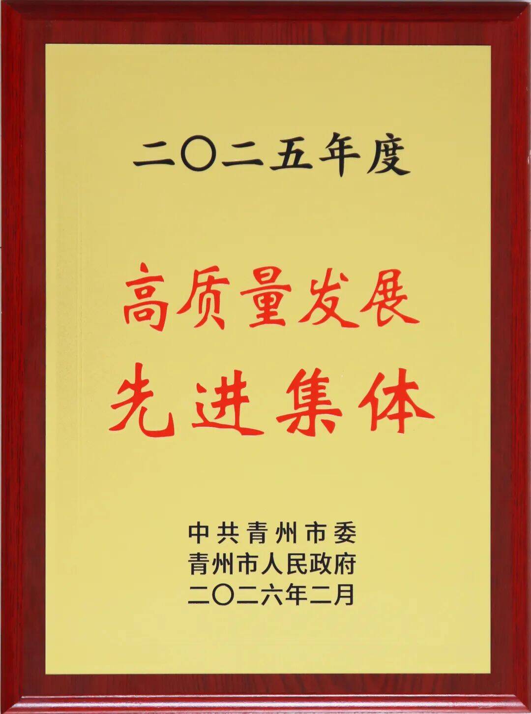 云门酒业荣获“更好潍坊建设先进集体”、青州市“高质量发展先进集体”