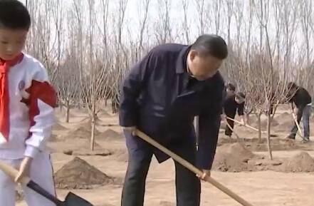 传习录丨种下的是树苗，也是祖国的美好未来