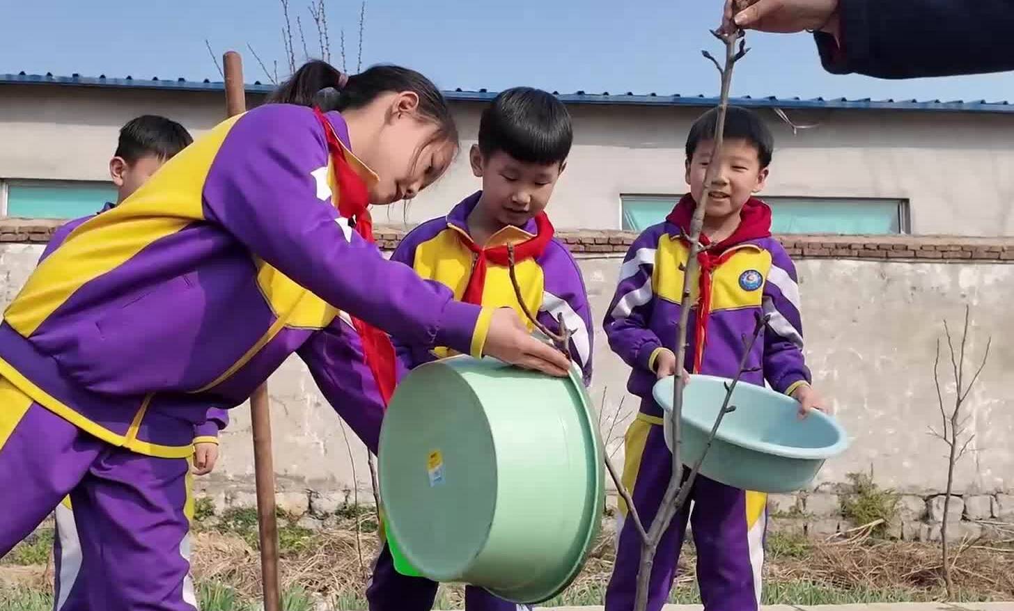 枣庄台儿庄：春和景明处 学子护绿正当时