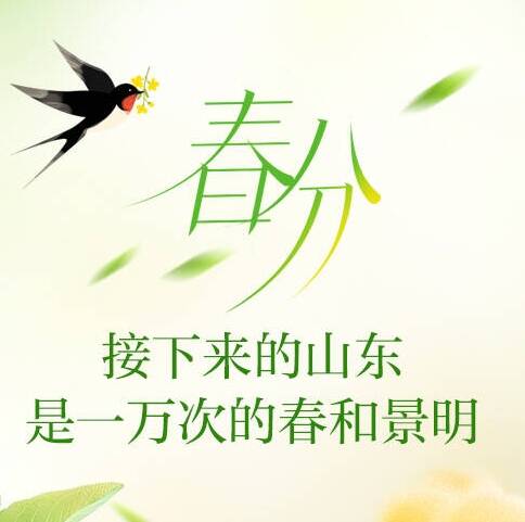 如此山东丨春分:接下来的山东,是一万次的春和景明
