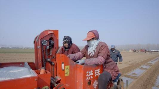 青岛西海岸新区：科技赋能 春耕作业有序推进