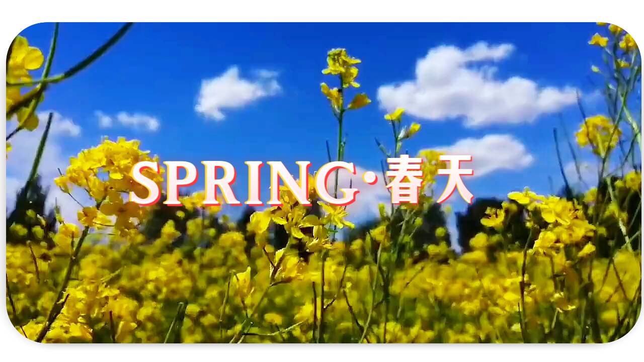 春天是什么样的？