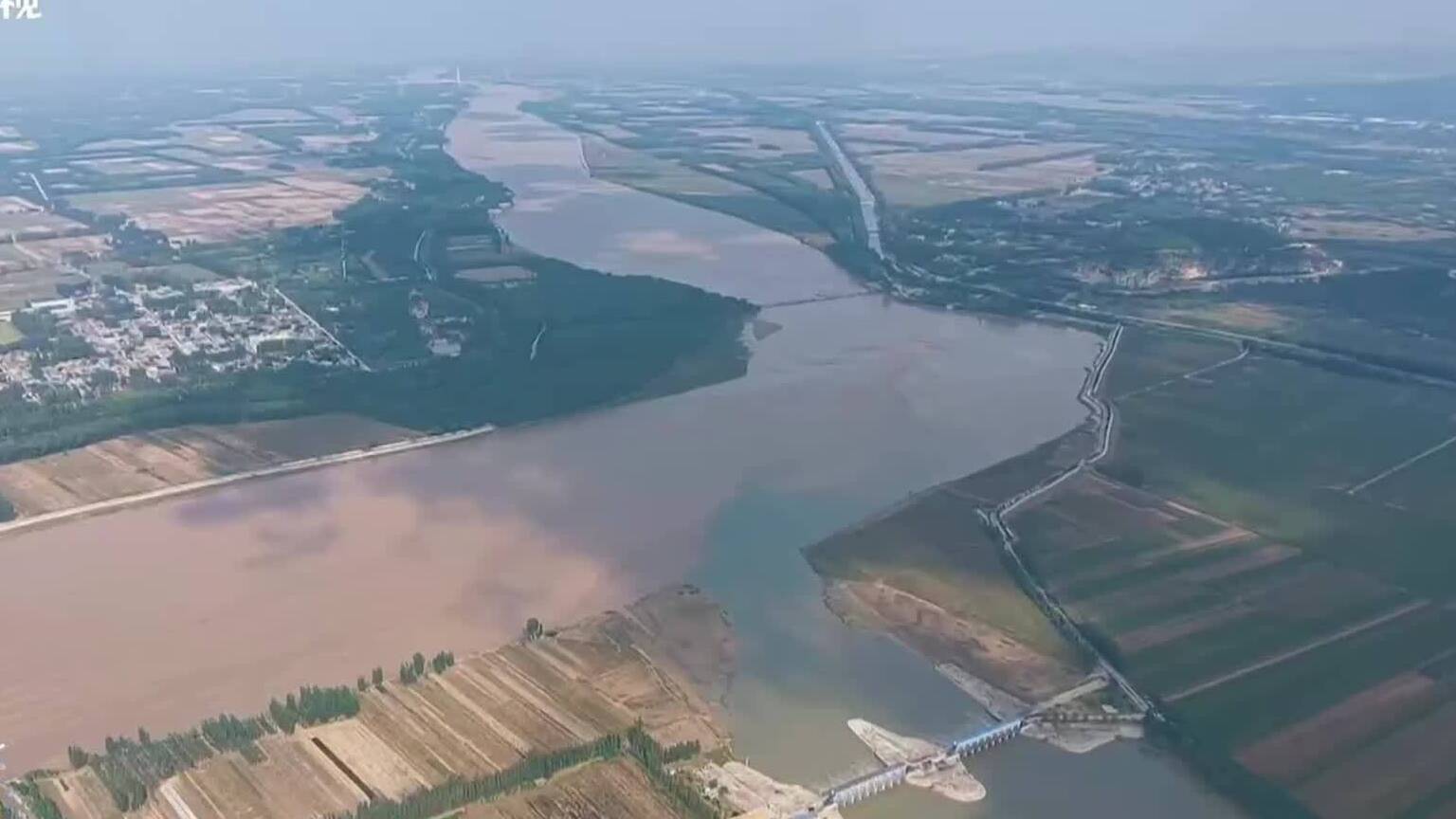 春天第一口鲜来自东平湖