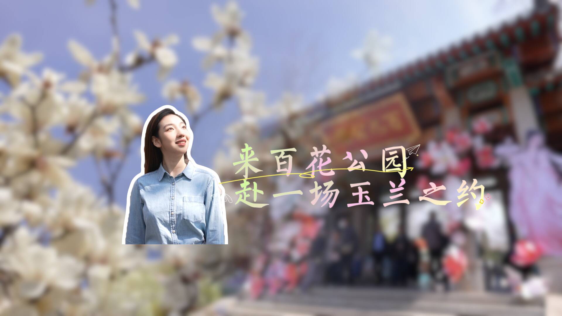 此刻最佳、这两条路线最优！跟记者赴玉兰之约｜泉城赏花攻略