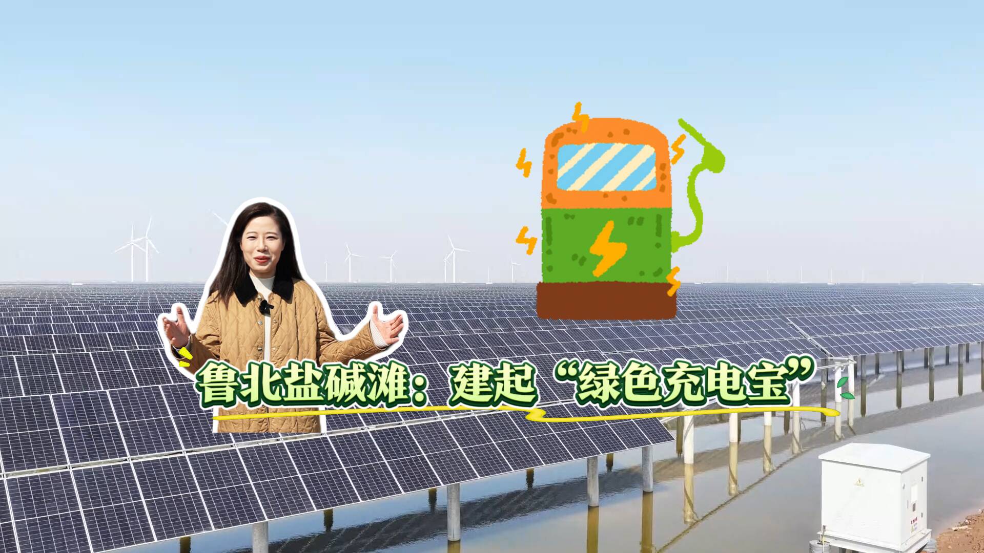 鲁北盐碱滩：建起“绿色充电宝”