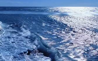 青海湖迎来2026“开湖季”！刚察向聊城游客发出春日邀约