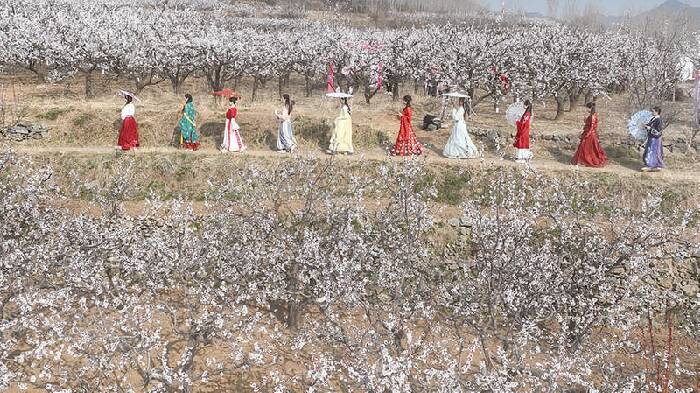 踏青赏花 乐享春天