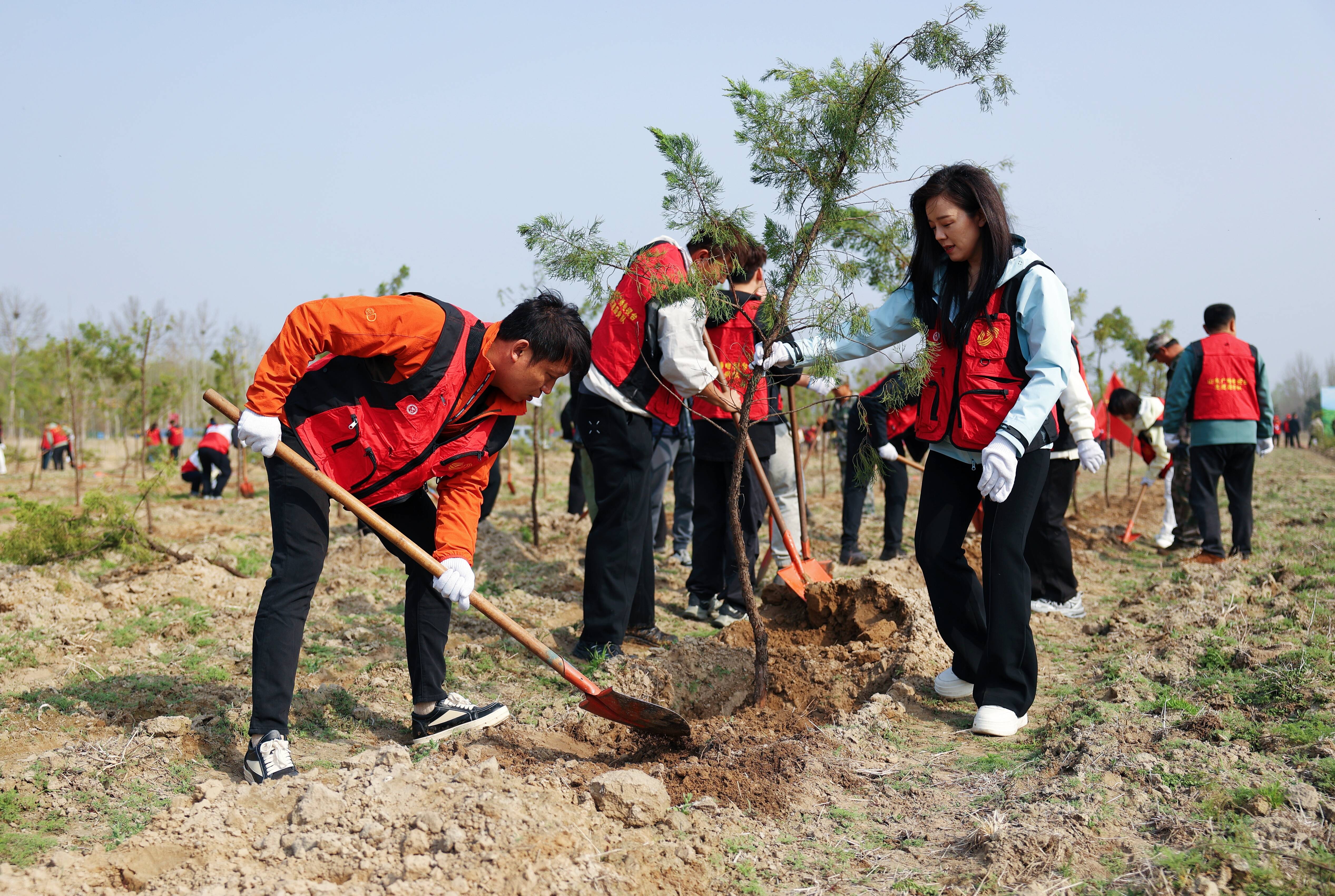 山东省直机关组织开展义务植树活动 新增绿化面积1.5万平方米