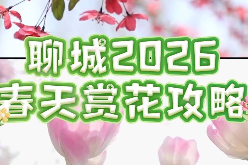 聊城黑板报｜聊城2026春天赏花攻略来了！解锁一整个春天的浪漫