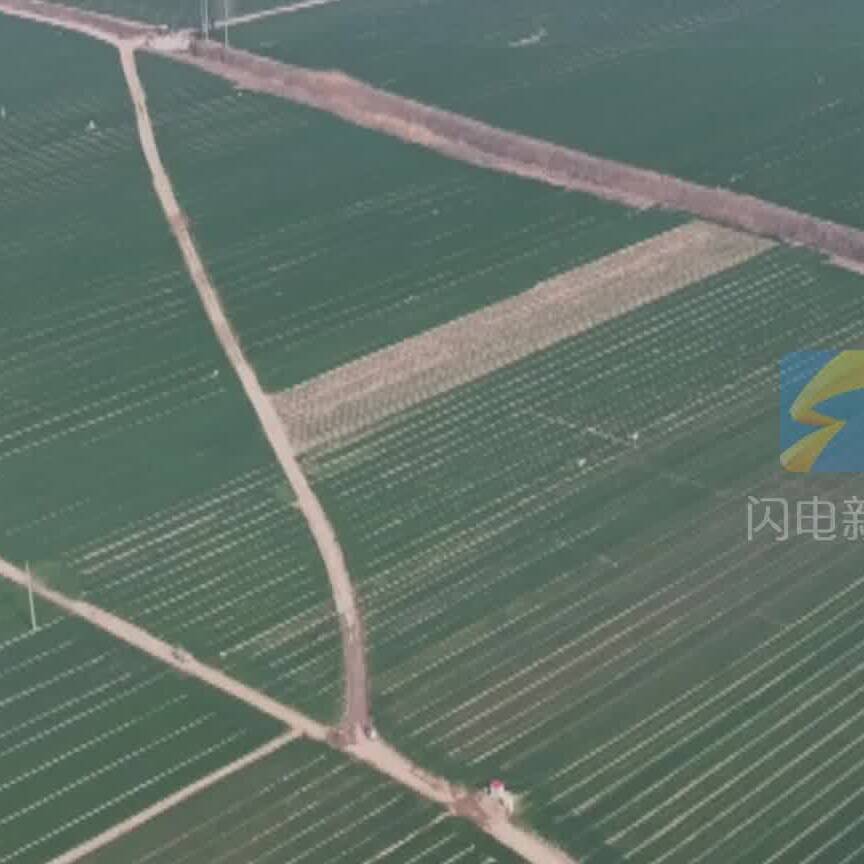 夏津县：开闸放水保春灌  水润麦田助丰收