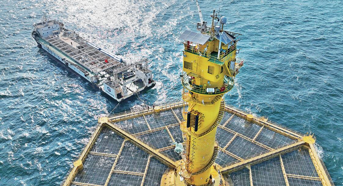 青岛：领衔“苗种技术”，筑基“蓝色粮仓”