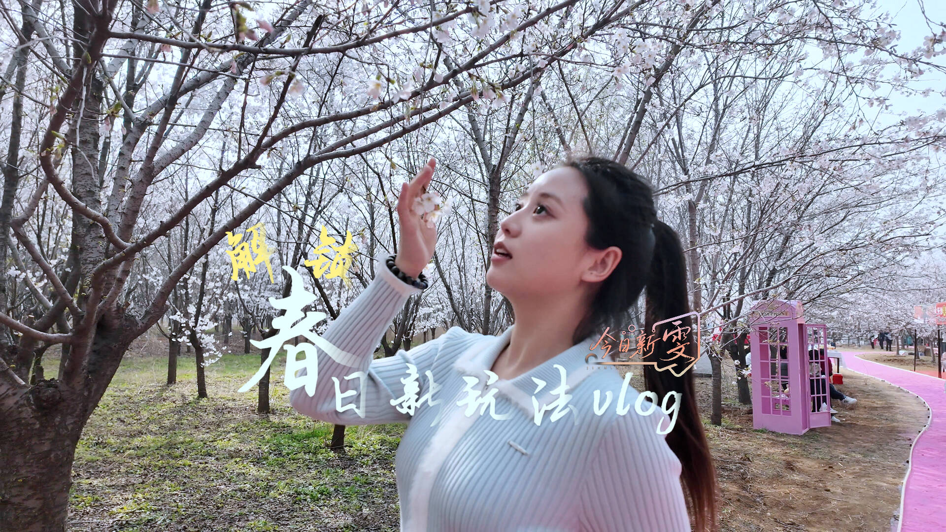 hjc222黄金城官网