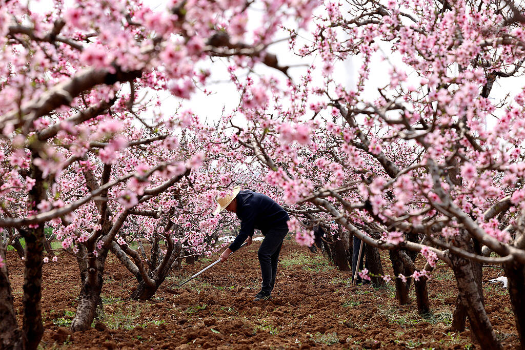 春耕春管正当时 枣庄农民绘就春日“耕作图”