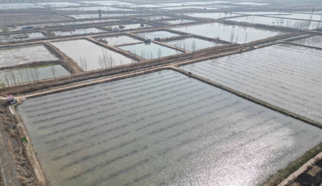 春灌“润”出好“丰”景