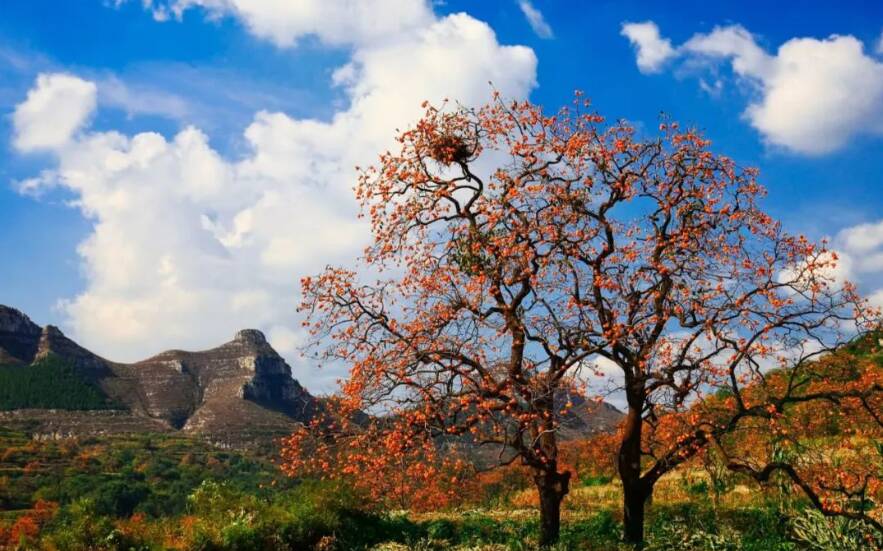 好评中国 | 中国县域经济观察③:特