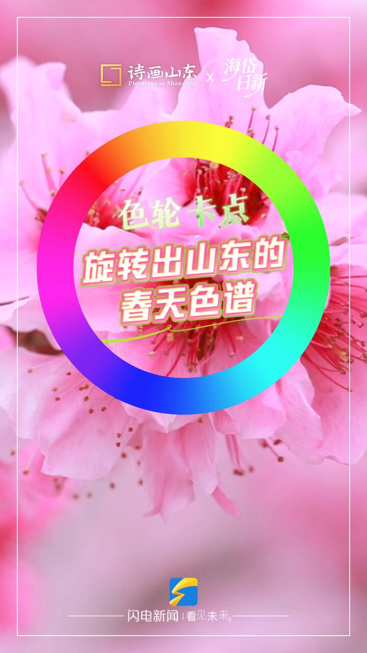 花开齐鲁｜跟着色轮卡点 旋转出山东的春天色谱