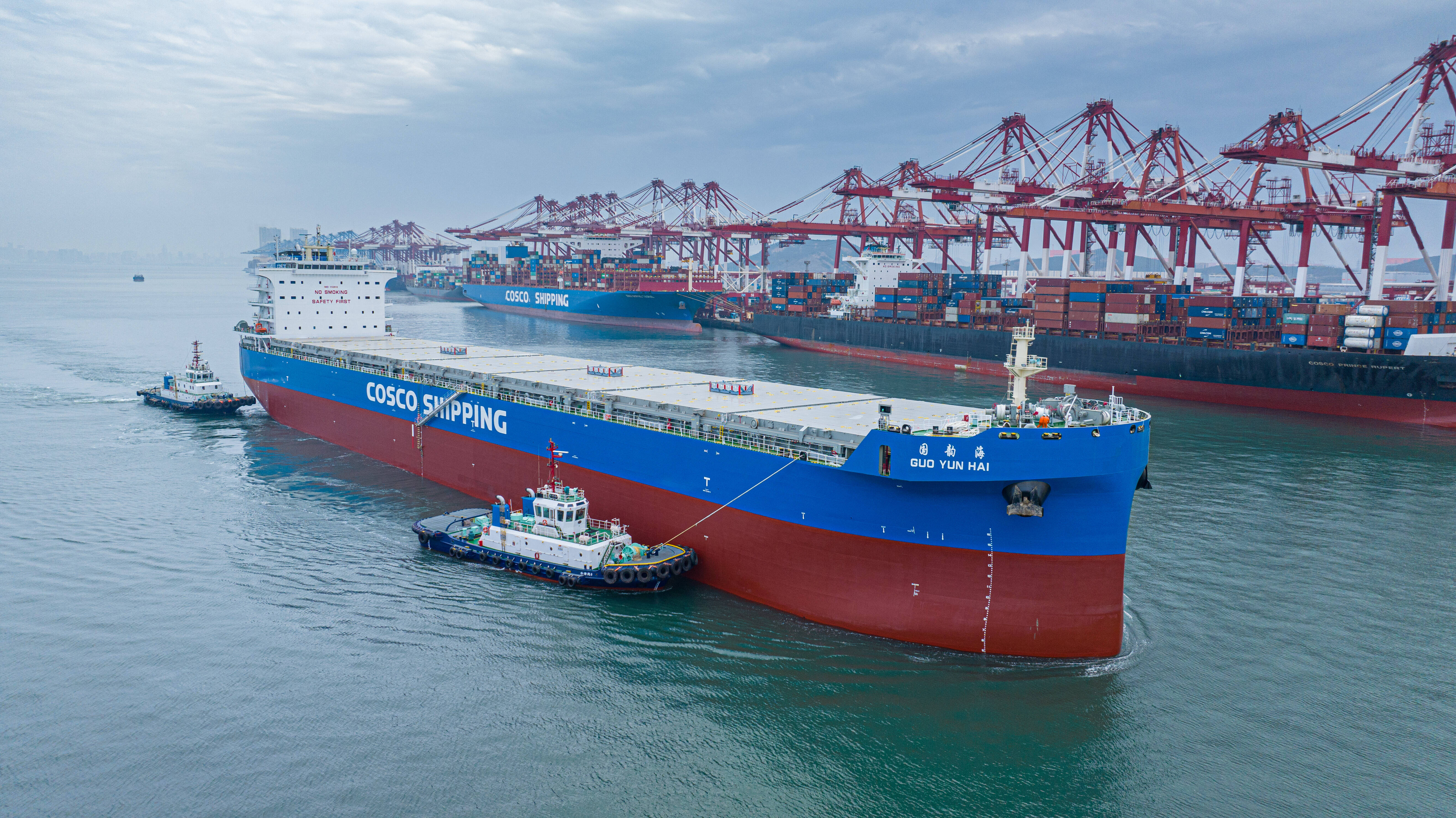 山东港口青岛港一季度新增7条集装箱航线 扩容密度远超去年同期