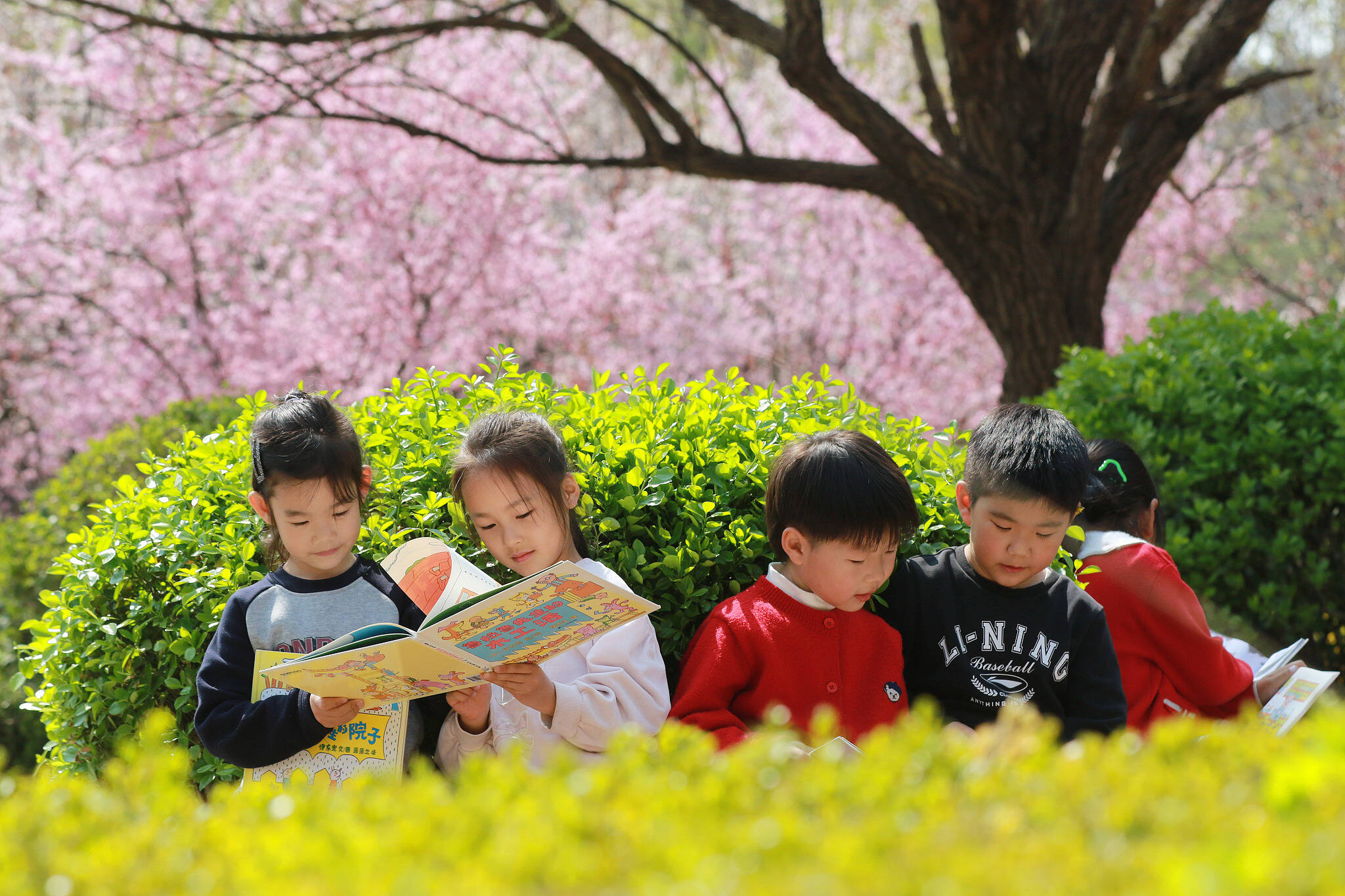 山东高密：国际儿童图书日临近 萌娃春日享书香