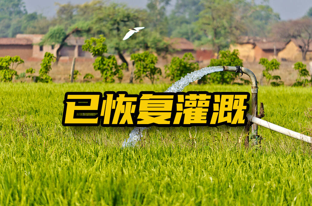 网络问政·办实事丨网友：农田管道通水了，结果很满意！