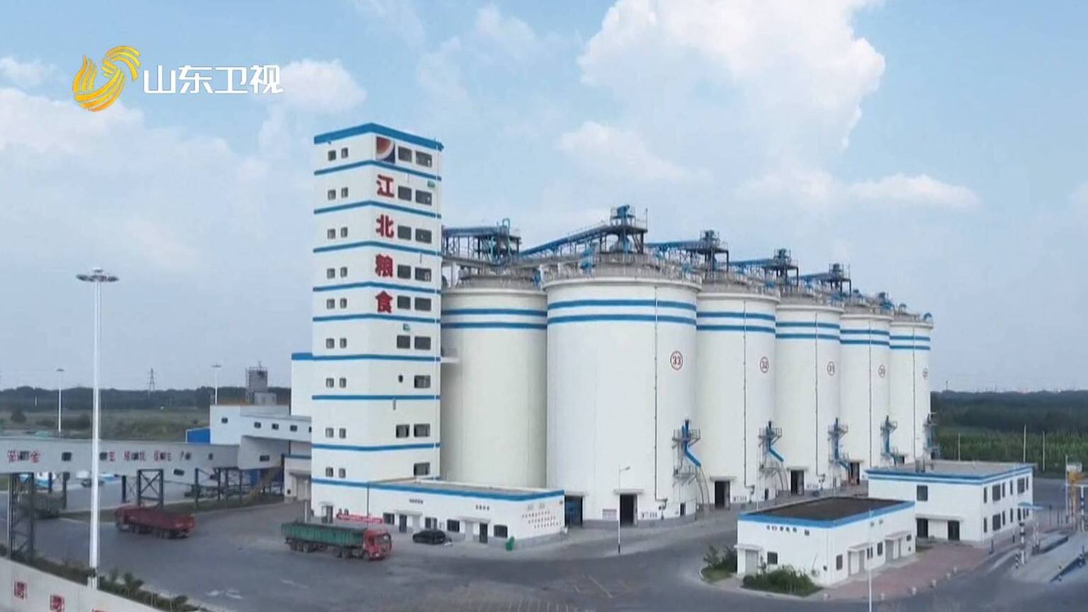 权威发布｜山东形成10大粮食特色产业聚集区 构建“雁阵型”粮食产业发展格局