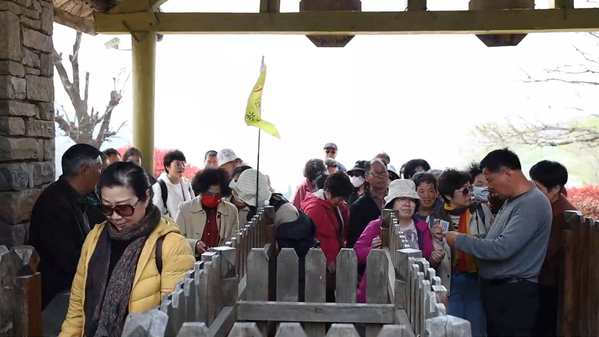 枣庄：“山海”牵手 绘就文旅融合新画卷
