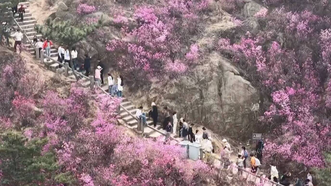 赏花经济“花”式升级