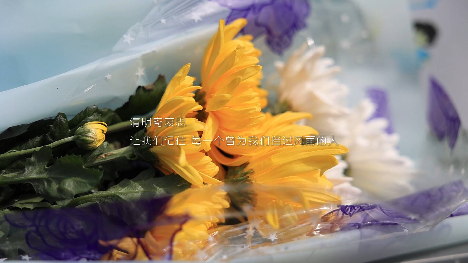 我们的节日｜清明，该纪念什么？