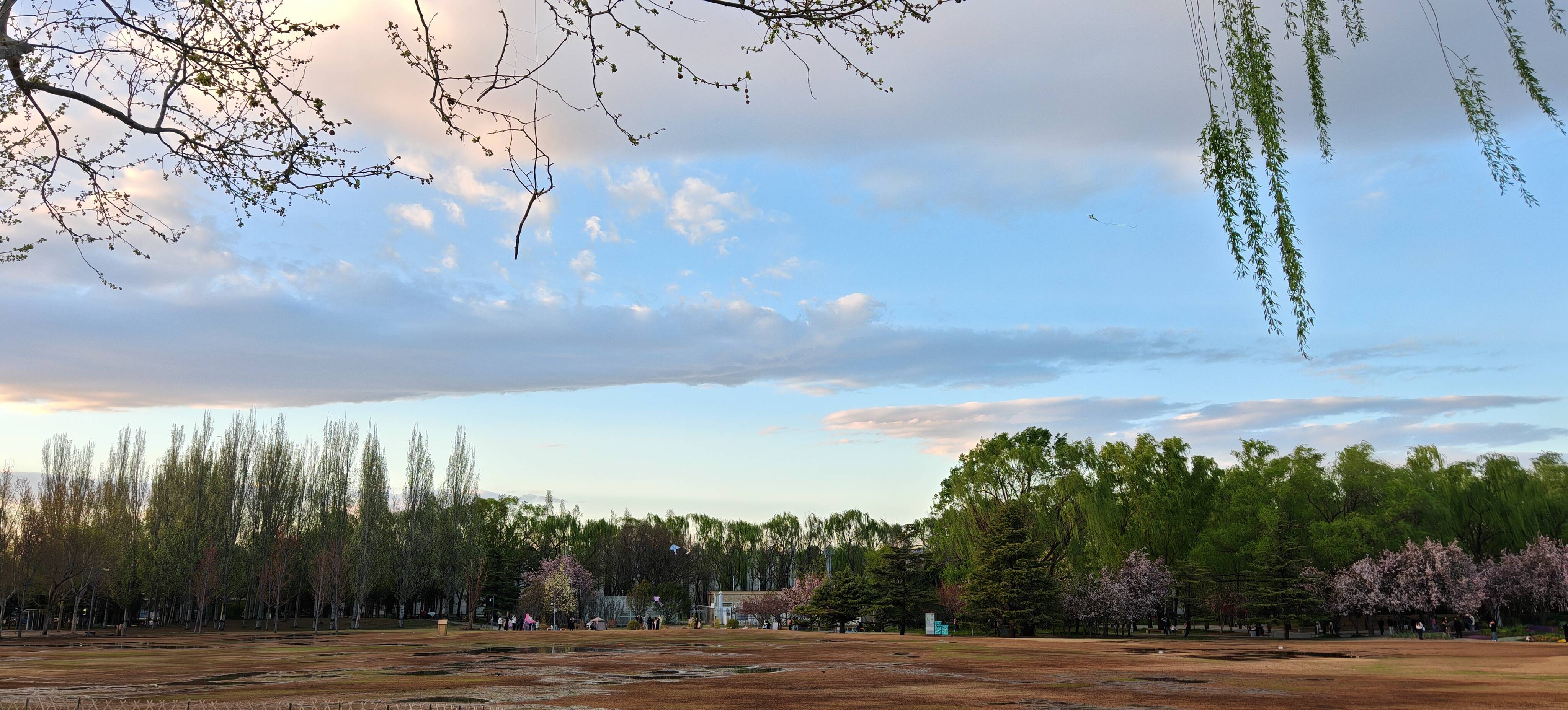 2026年清明节假期国内出游1.35亿人次 总花费613.67亿元